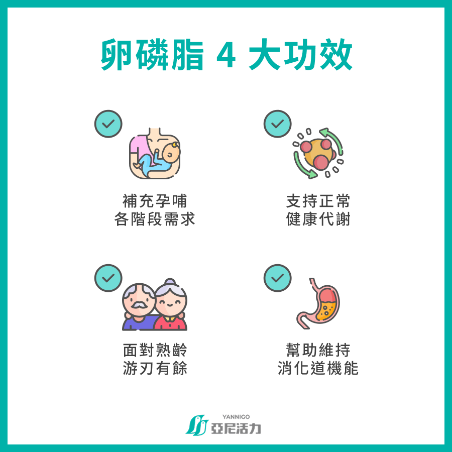 卵磷脂1 卵磷脂1